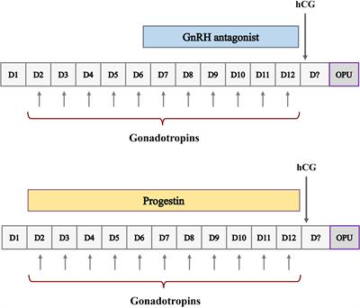 Comparison of cumulative live birth rates between progestin-primed ovarian stimulation protocol and gonadotropin-releasing hormone antagonist protocol in different populations